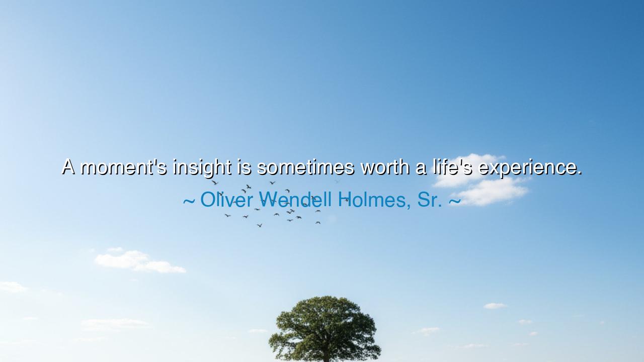 A moment's insight is sometimes worth a life's experience.