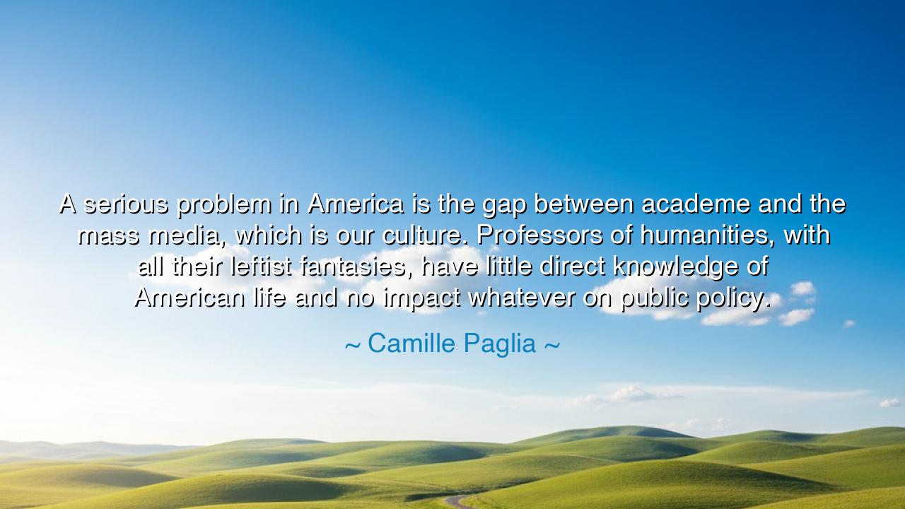 A serious problem in America is the gap between academe and the