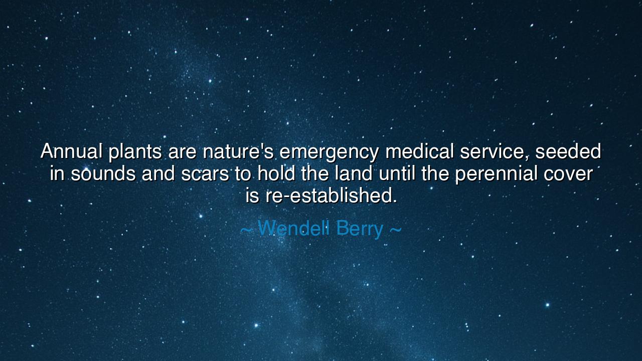 Annual plants are nature's emergency medical service, seeded in
