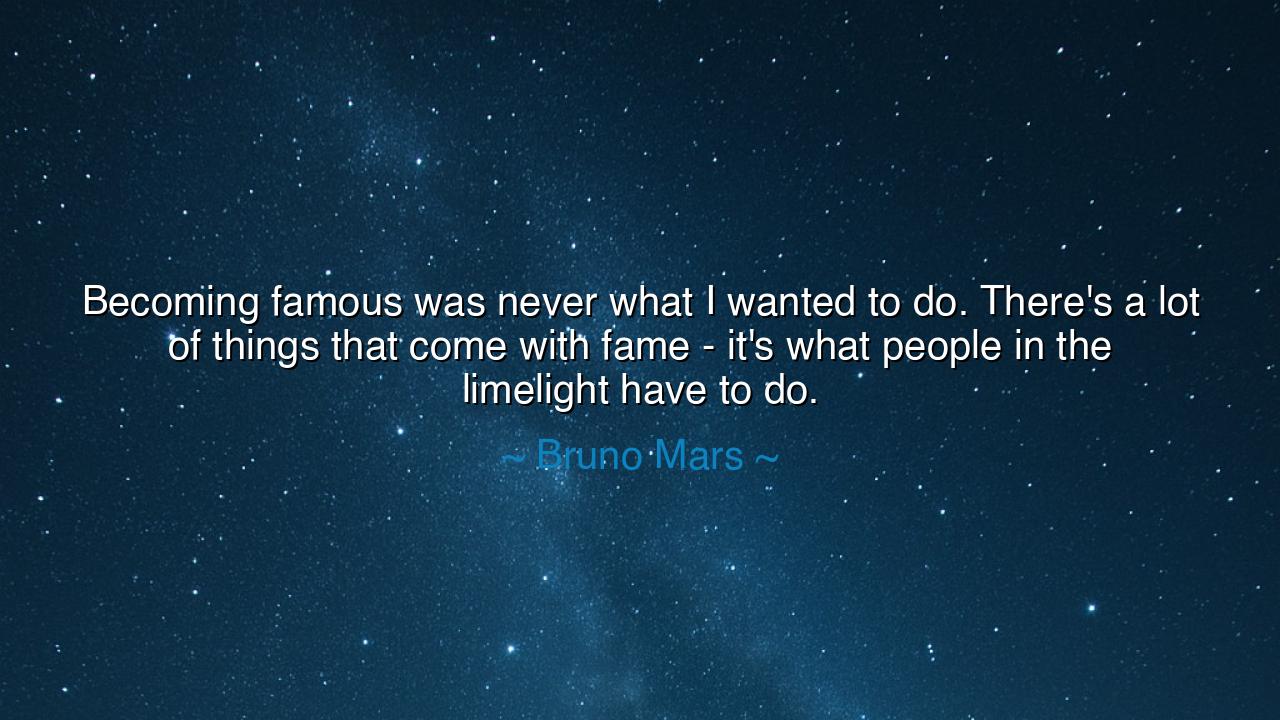Becoming famous was never what I wanted to do. There's a lot of