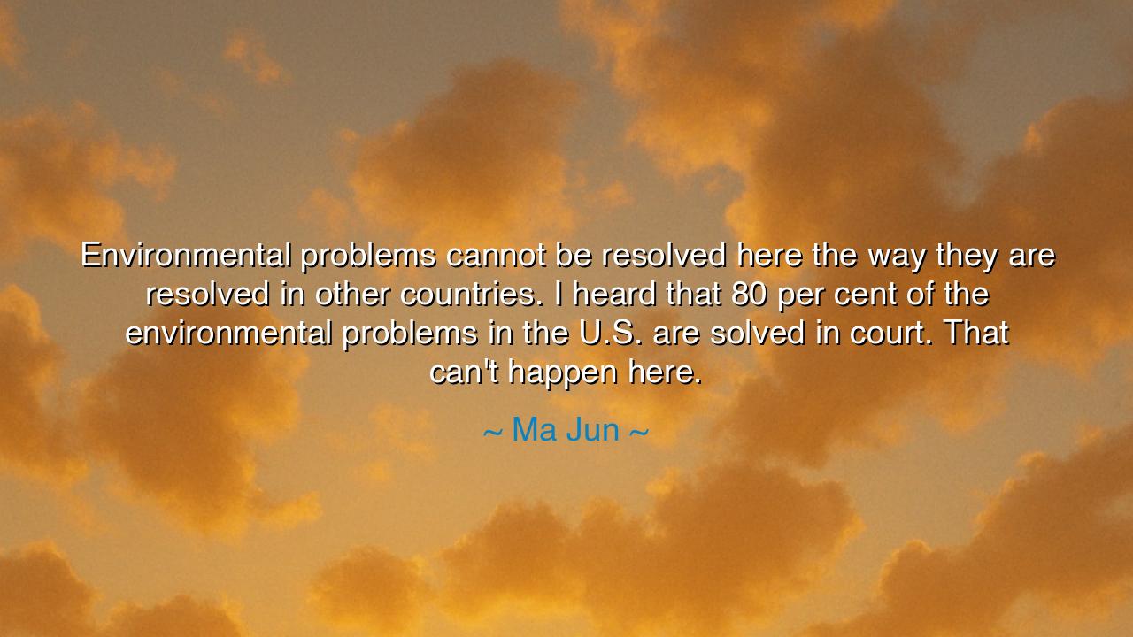 Environmental problems cannot be resolved here the way they are