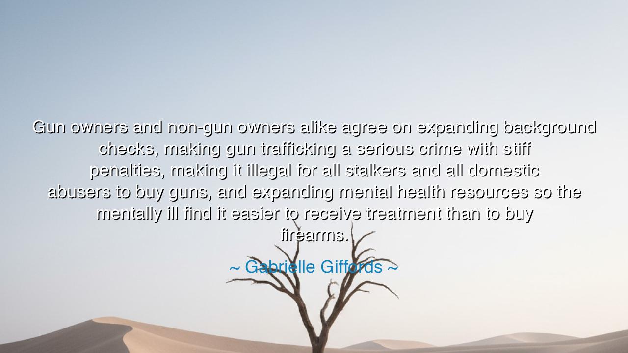 Gun owners and non-gun owners alike agree on expanding background