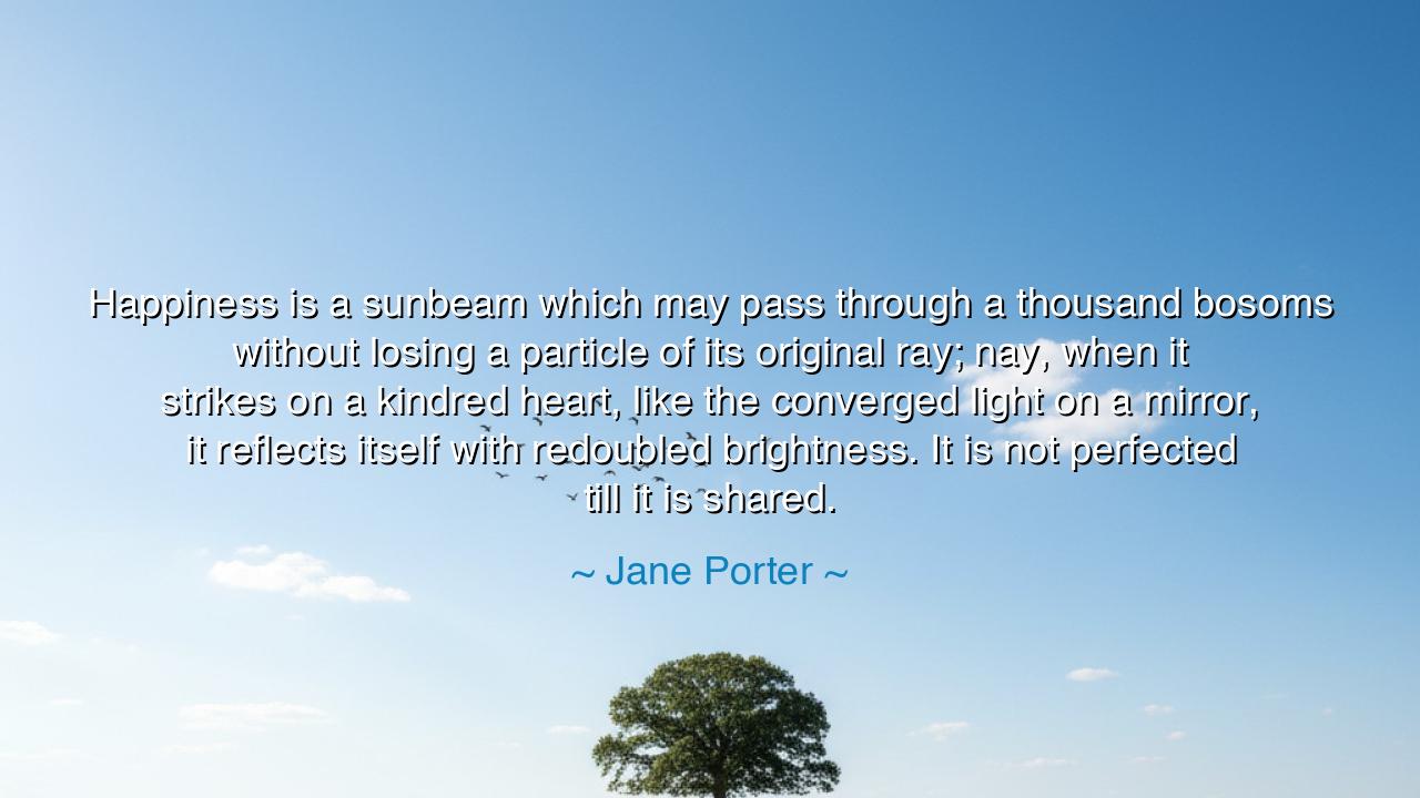 Happiness is a sunbeam which may pass through a thousand bosoms