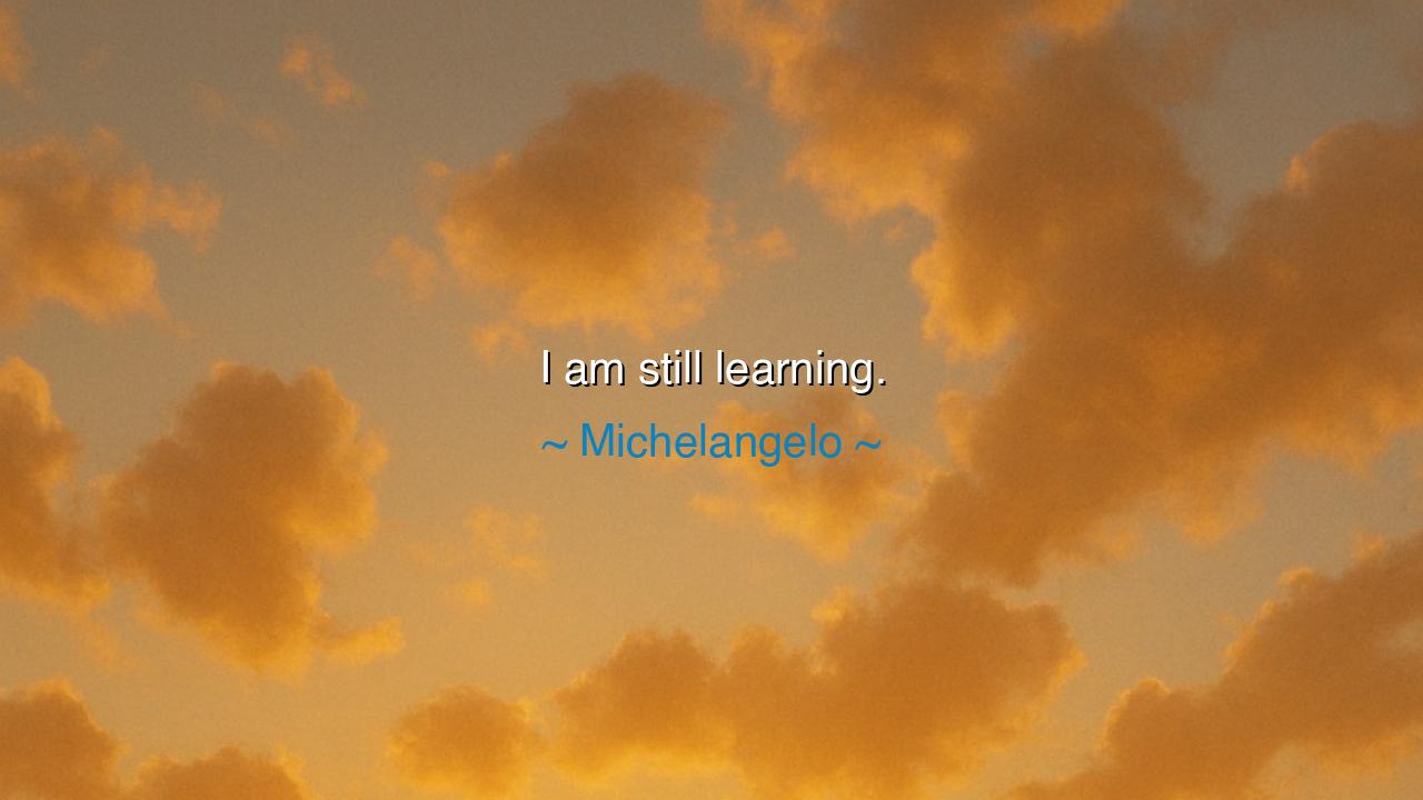 I am still learning.