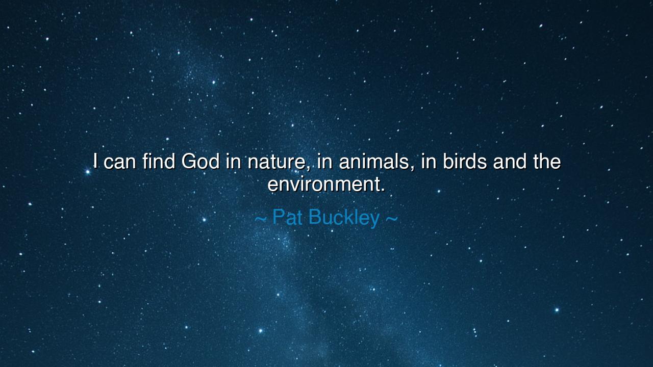 I can find God in nature, in animals, in birds and the