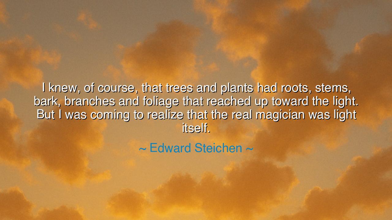 I knew, of course, that trees and plants had roots, stems, bark