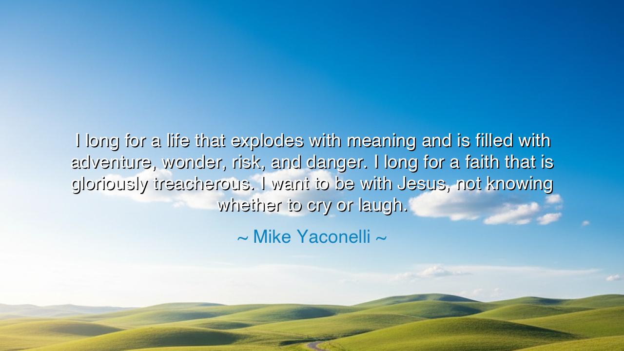 I long for a life that explodes with meaning and is filled with
