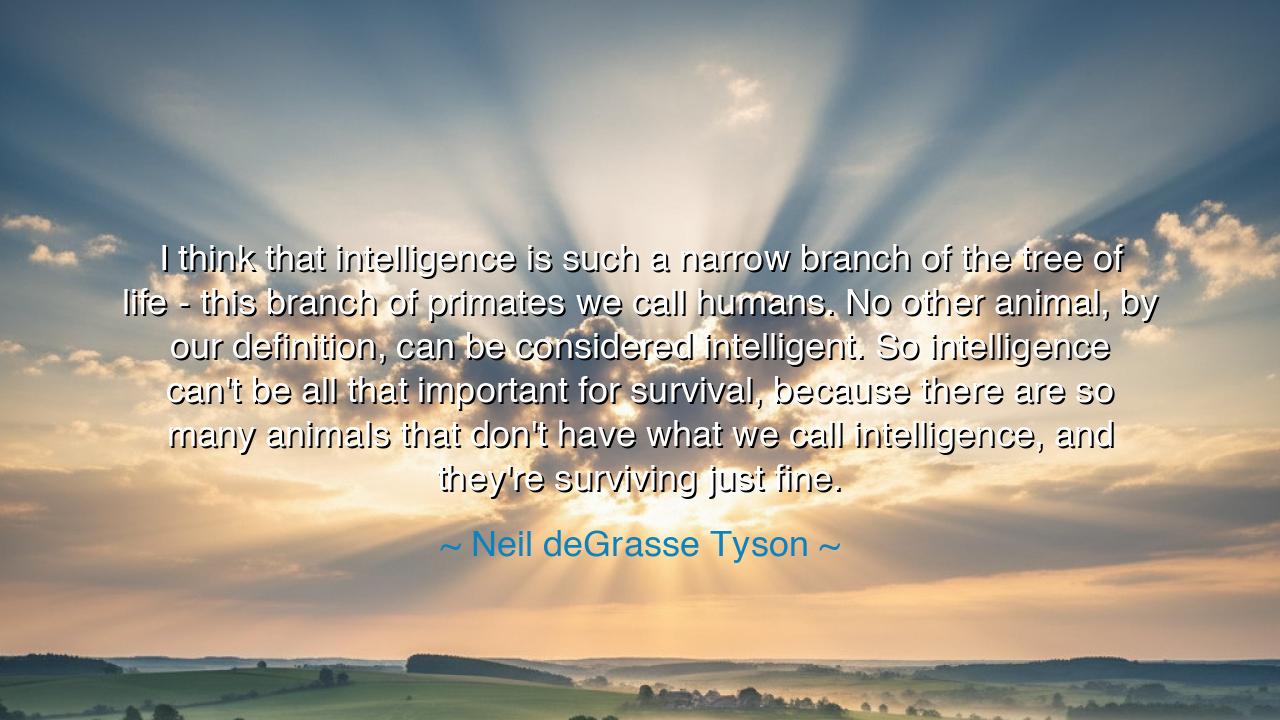 I think that intelligence is such a narrow branch of the tree of