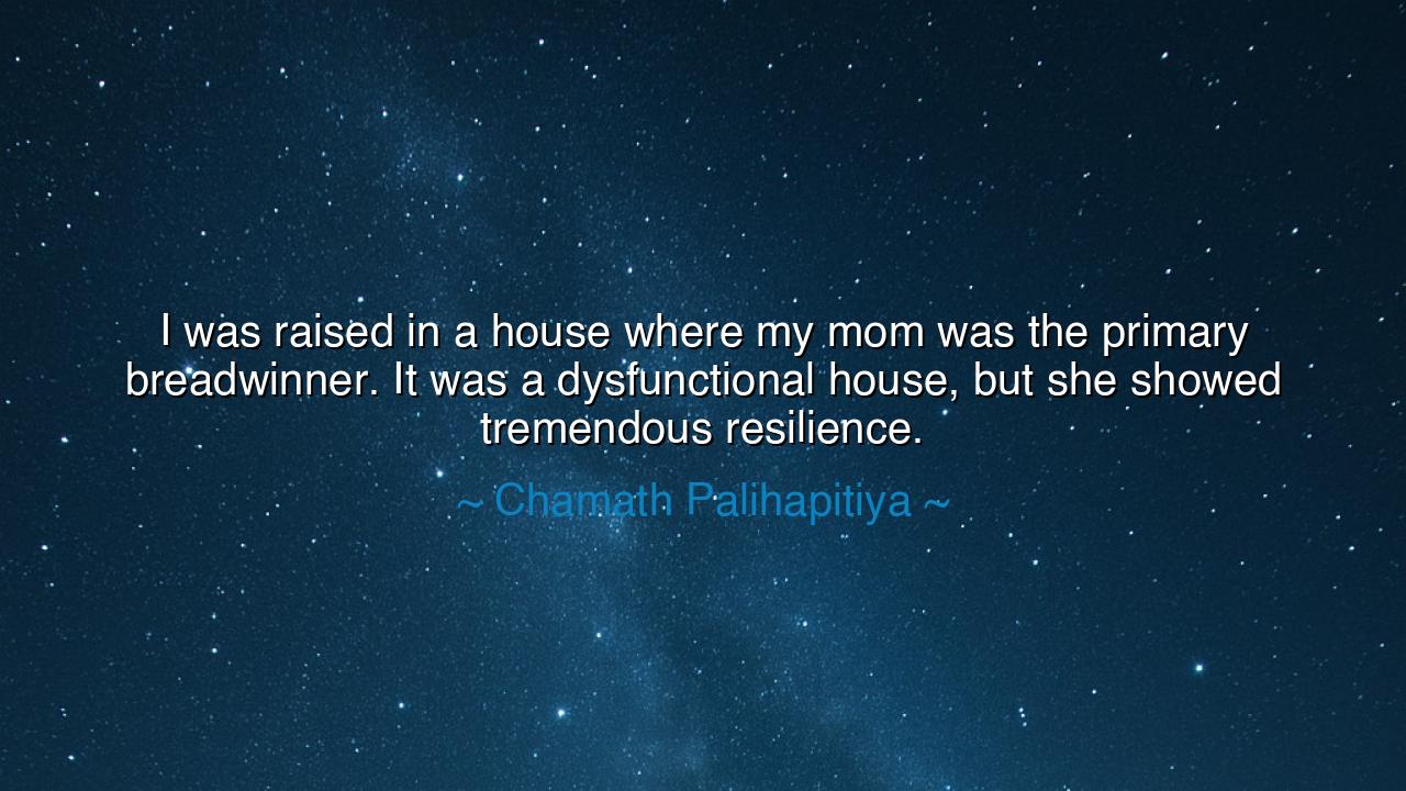 I was raised in a house where my mom was the primary breadwinner.