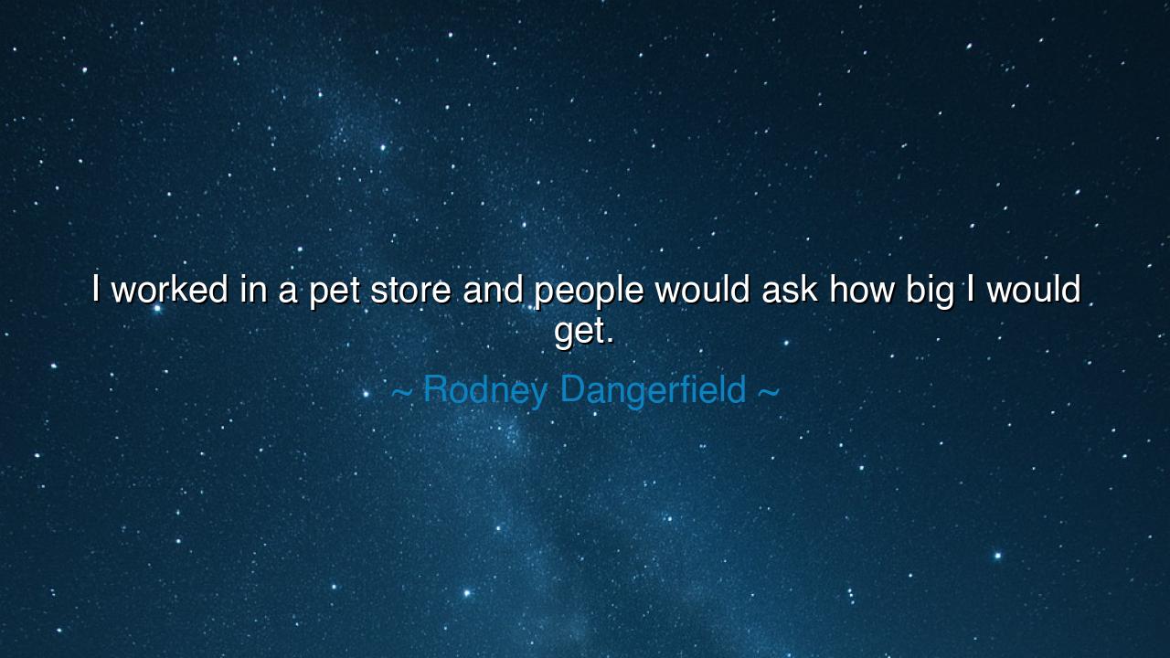 I worked in a pet store and people would ask how big I would