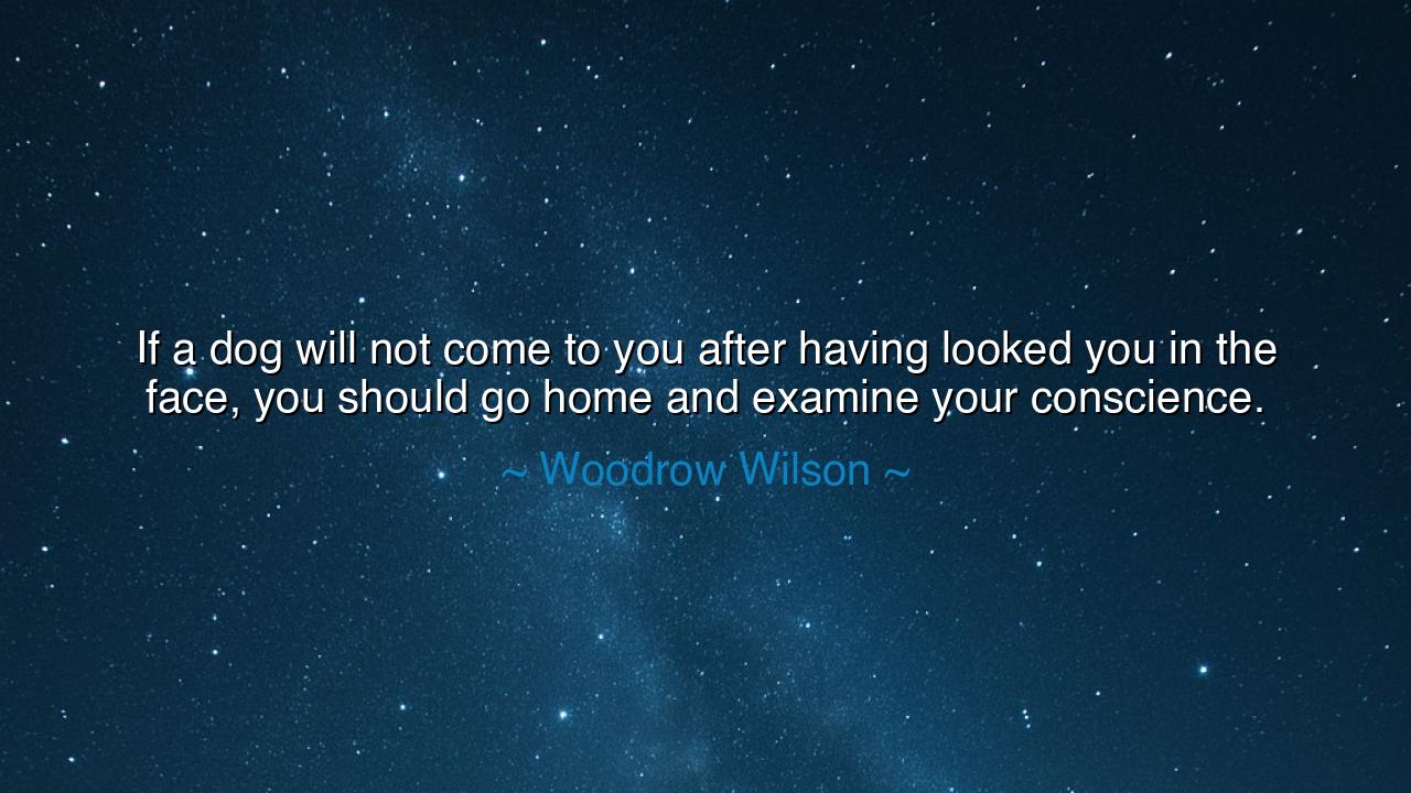 If a dog will not come to you after having looked you in the