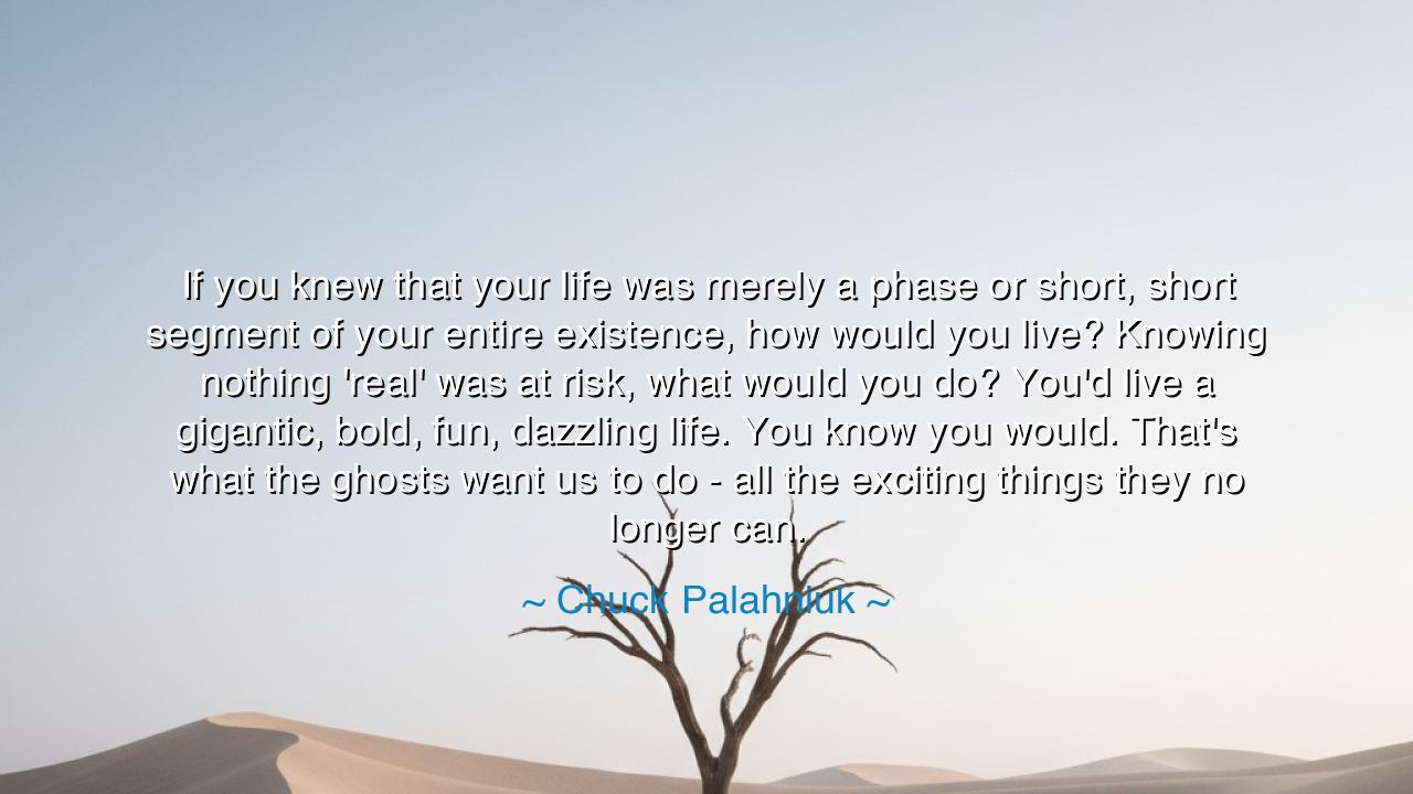 If you knew that your life was merely a phase or short, short