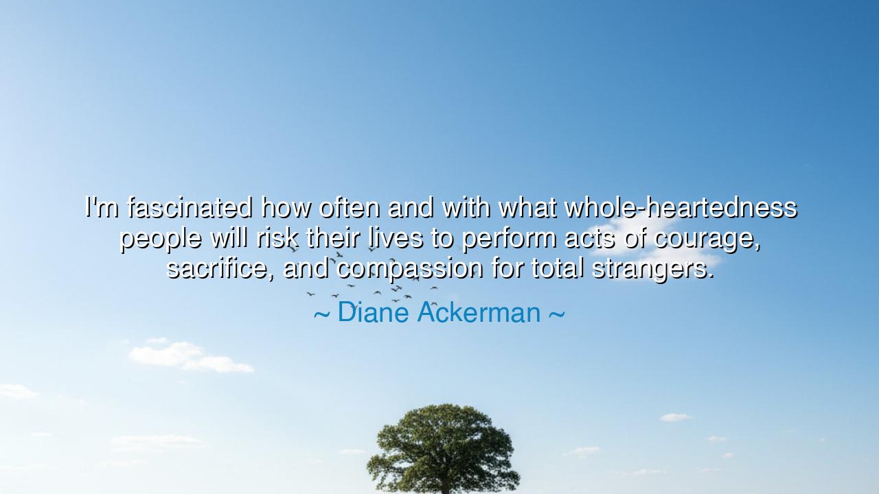 I'm fascinated how often and with what whole-heartedness people