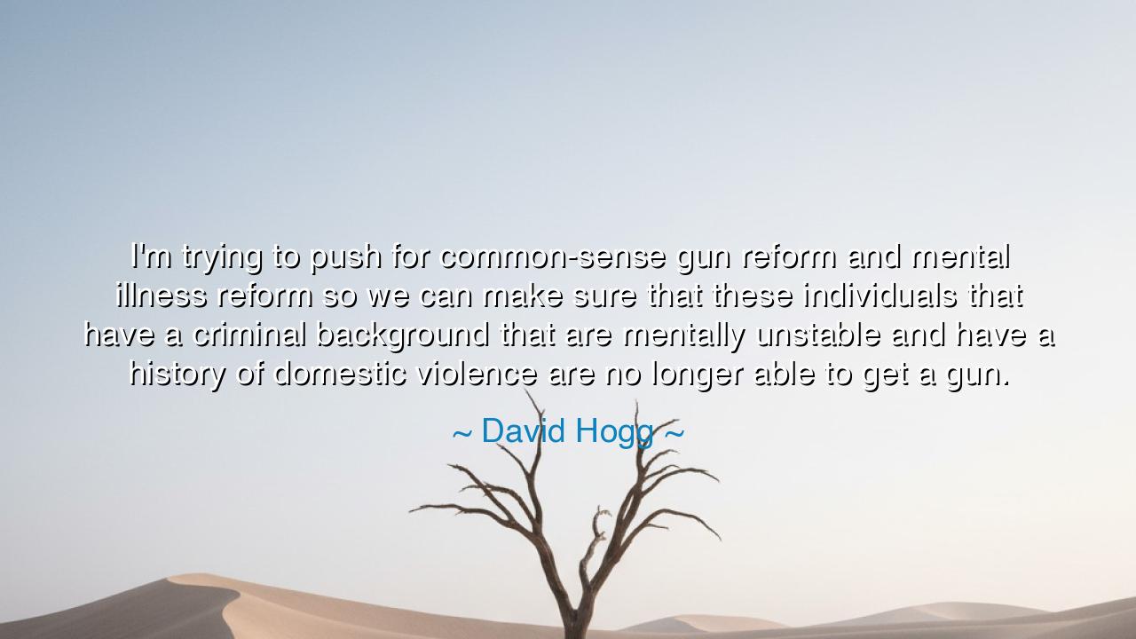 I'm trying to push for common-sense gun reform and mental illness