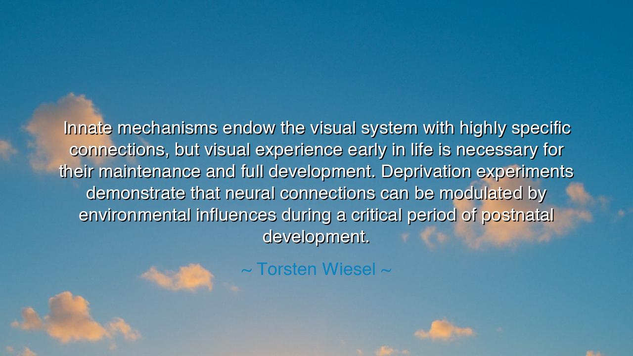 Innate mechanisms endow the visual system with highly specific