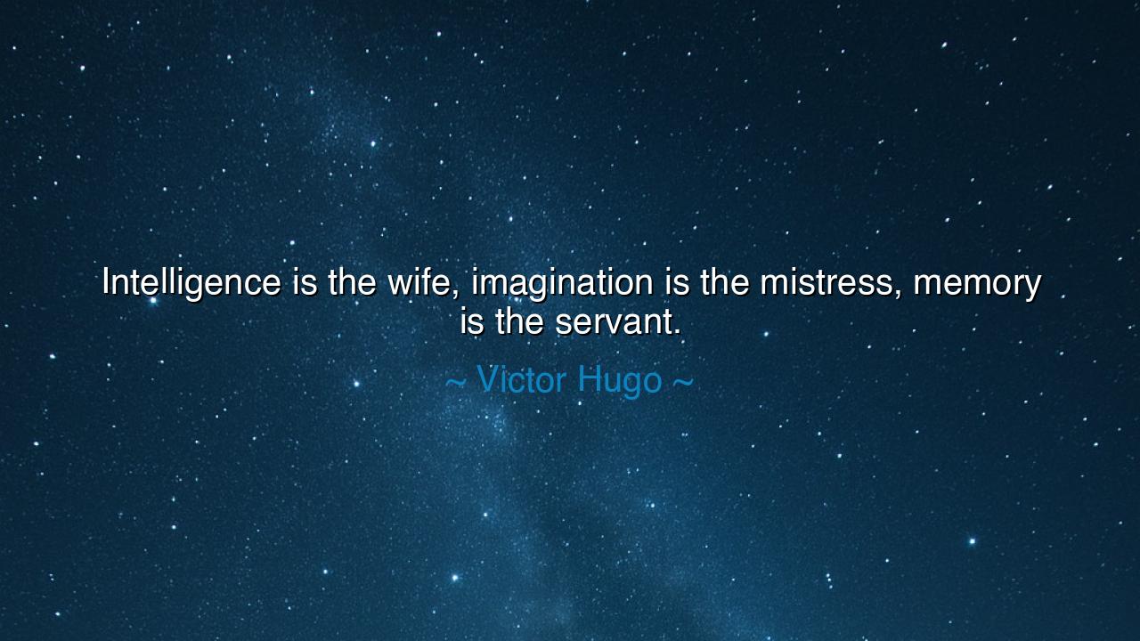 Intelligence is the wife, imagination is the mistress, memory is