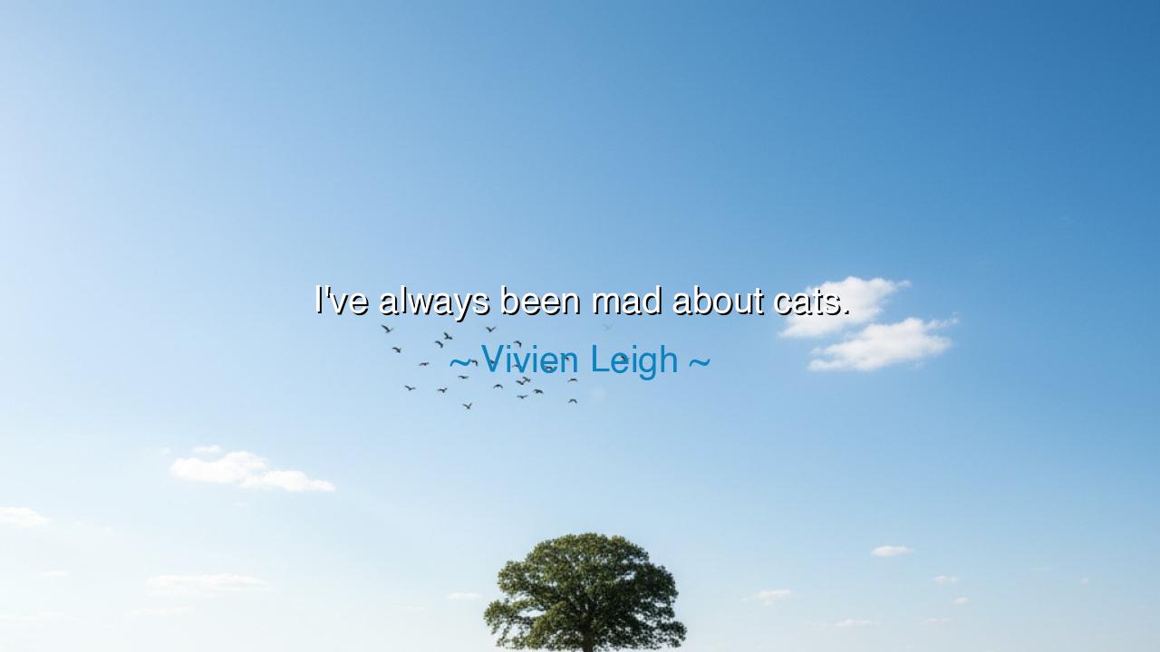 I've always been mad about cats.