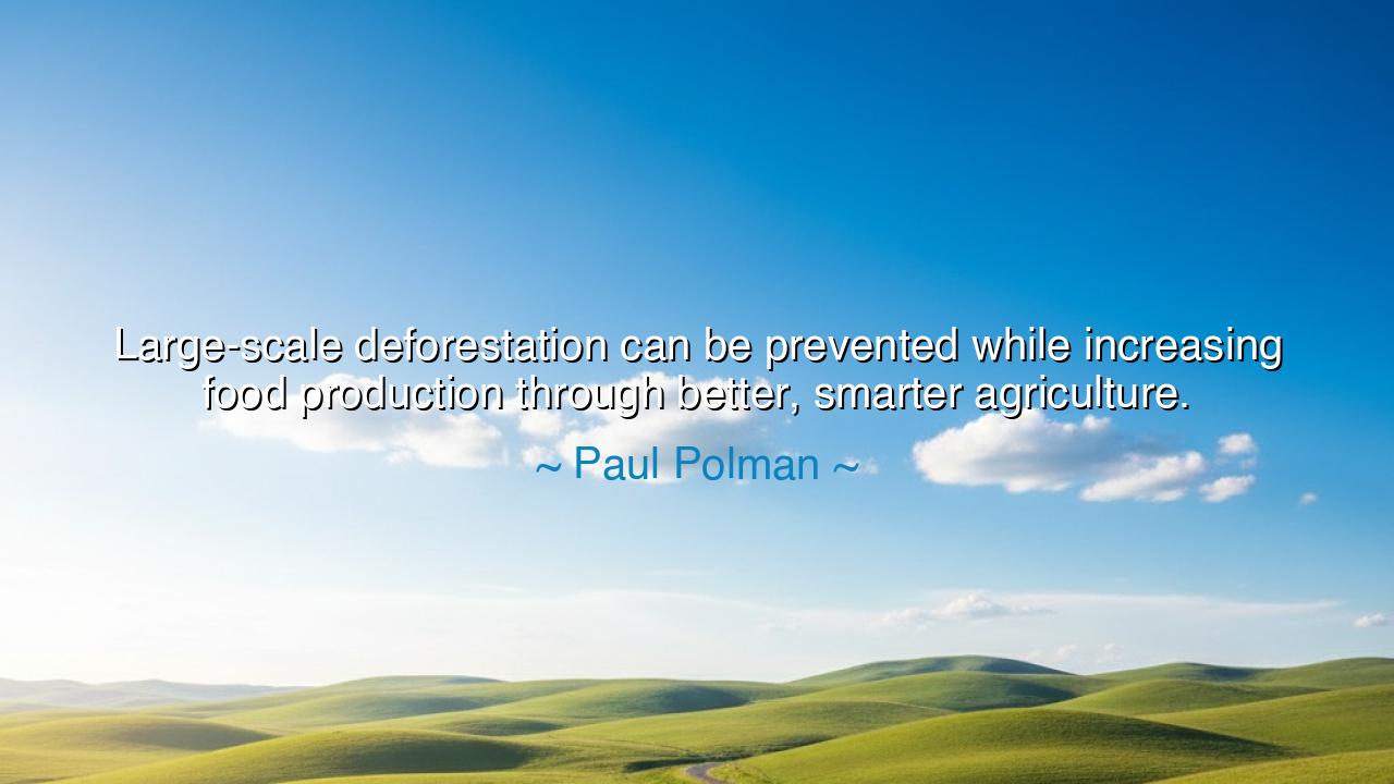 Large-scale deforestation can be prevented while increasing food