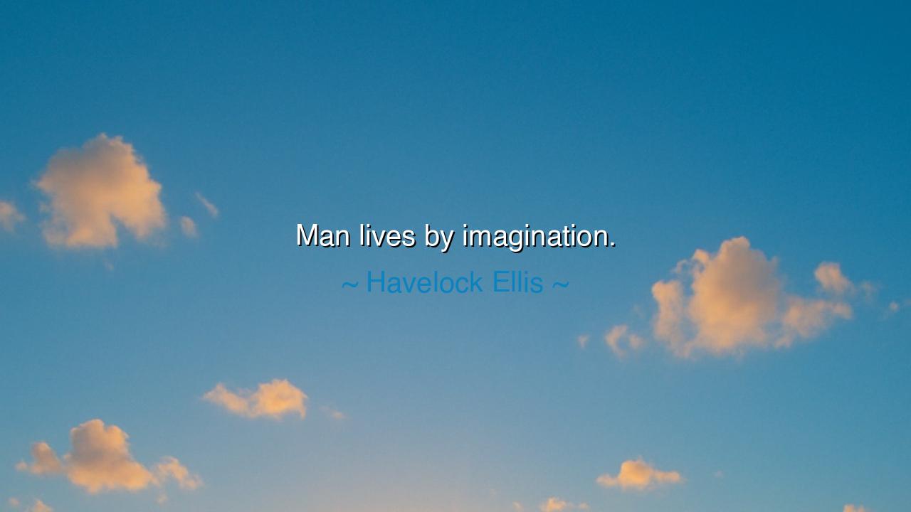 Man lives by imagination.