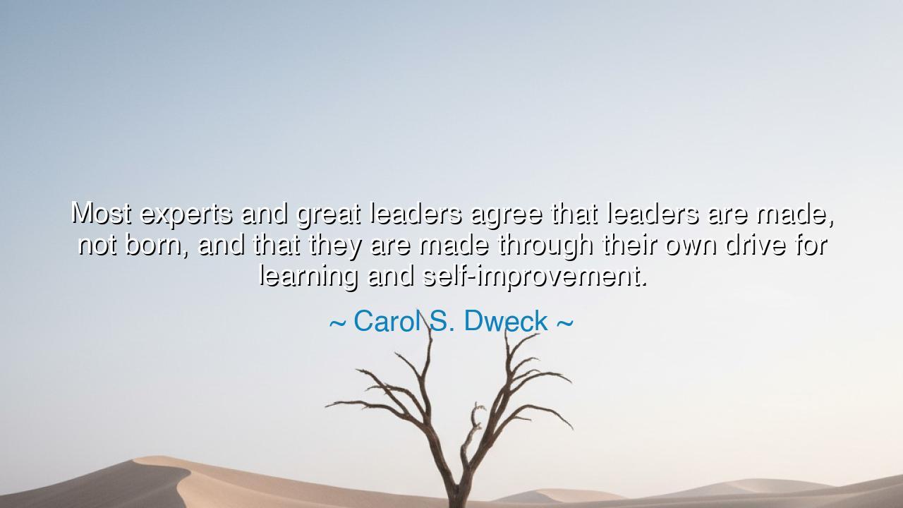 Most experts and great leaders agree that leaders are made, not