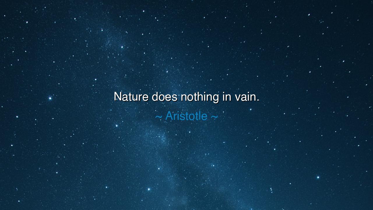Nature does nothing in vain.