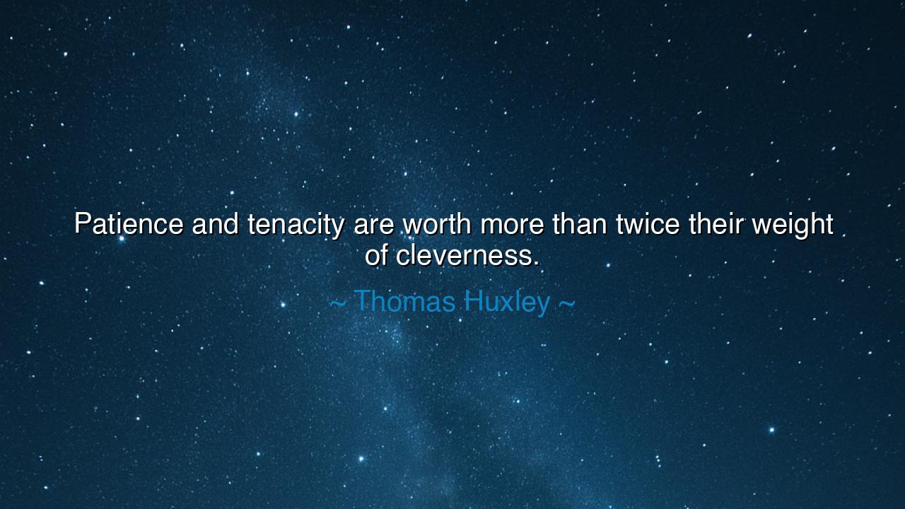 Patience and tenacity are worth more than twice their weight of