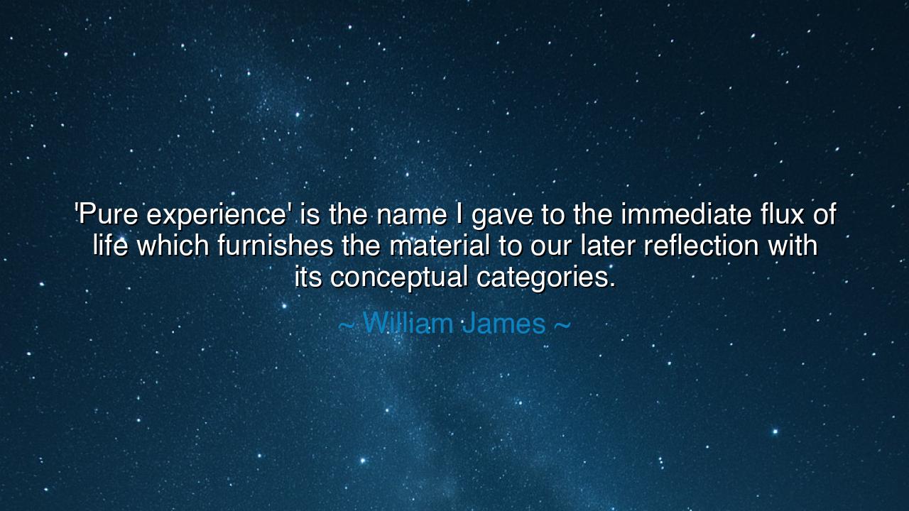 'Pure experience' is the name I gave to the immediate flux of