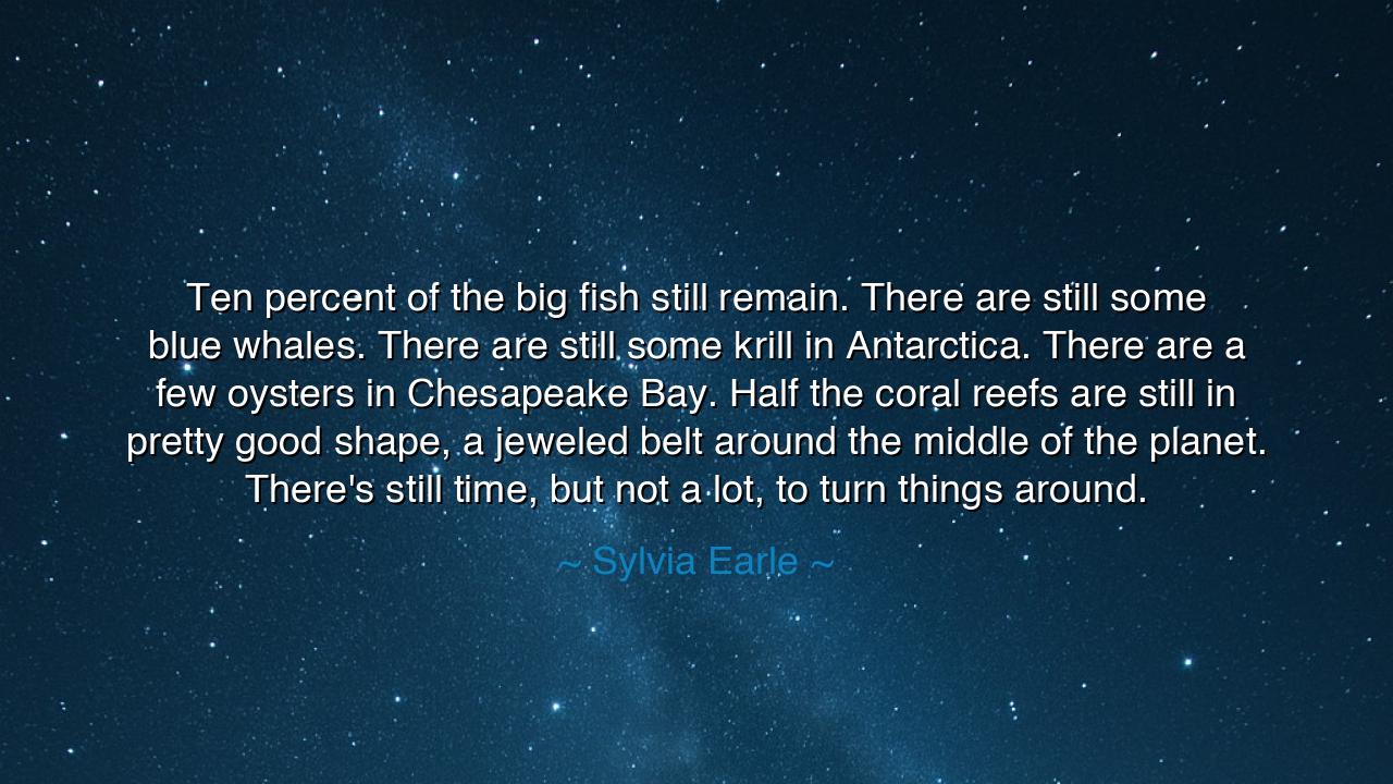 Ten percent of the big fish still remain. There are still some