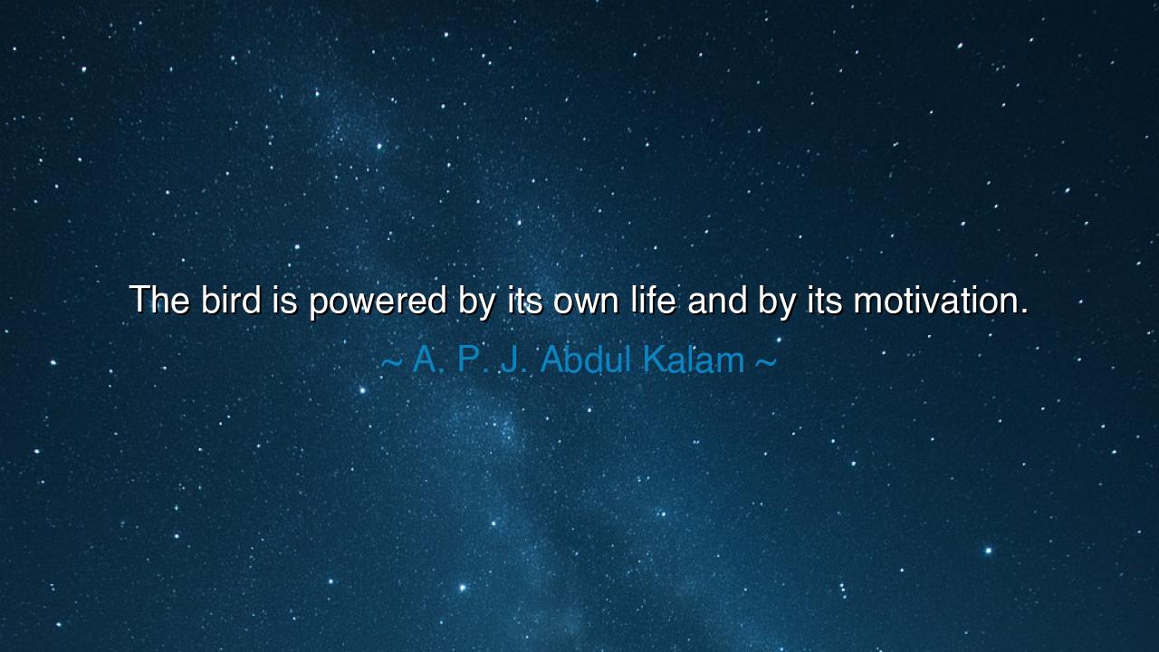 The bird is powered by its own life and by its motivation.