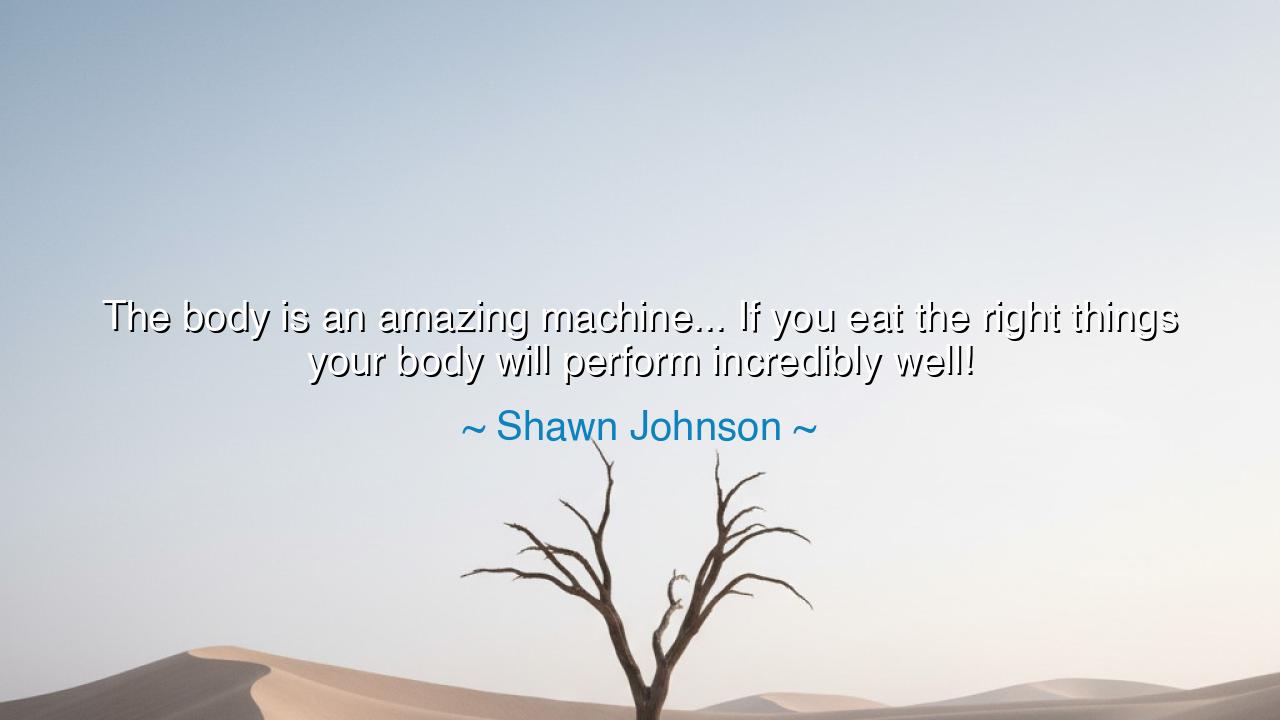 The body is an amazing machine... If you eat the right things