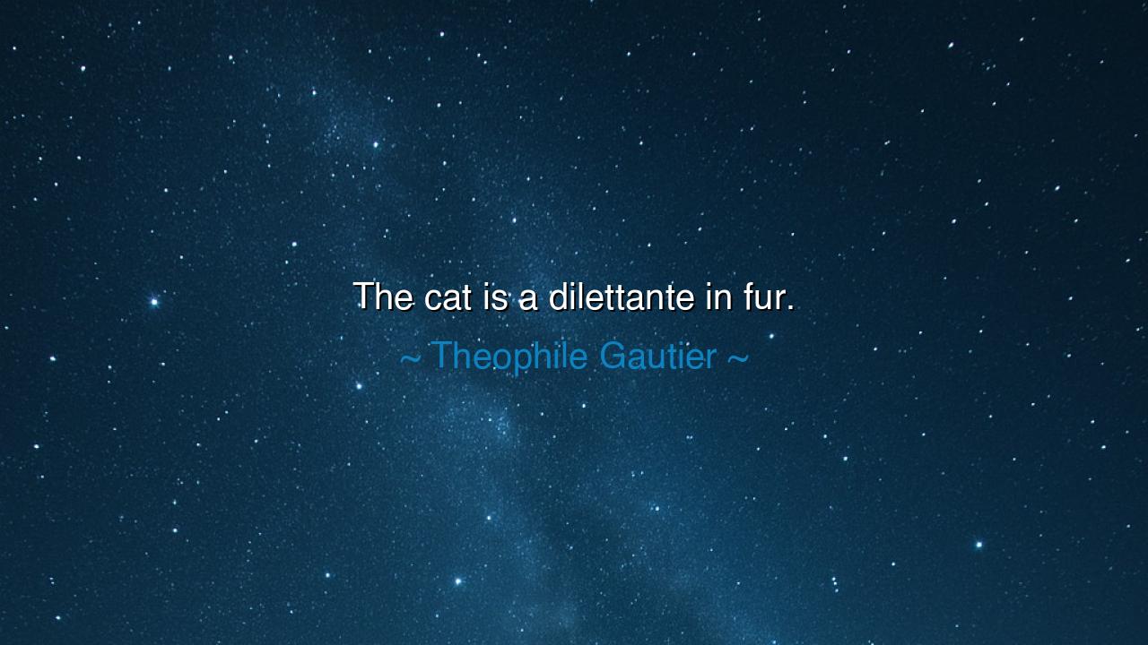 The cat is a dilettante in fur.