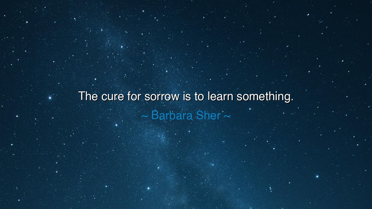 The cure for sorrow is to learn something.