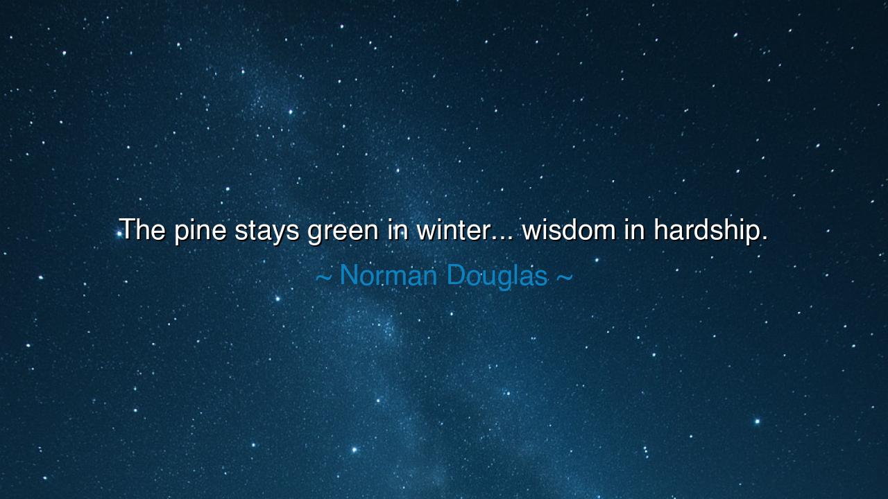 The pine stays green in winter... wisdom in hardship.