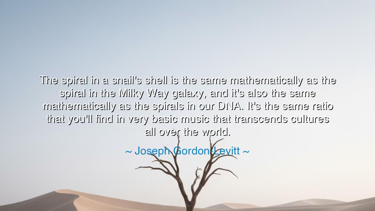The spiral in a snail's shell is the same mathematically as the
