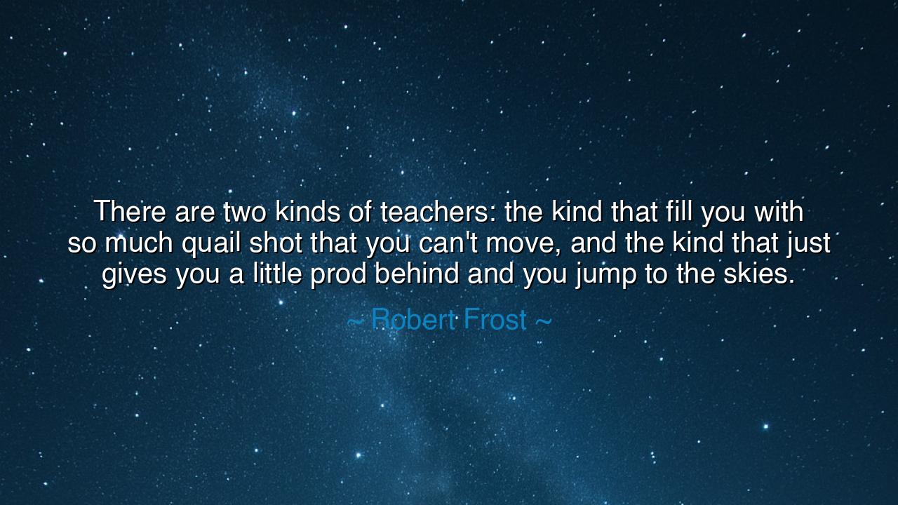 There are two kinds of teachers: the kind that fill you with so