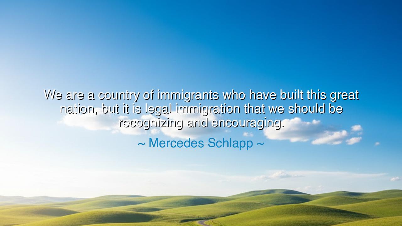We are a country of immigrants who have built this great nation