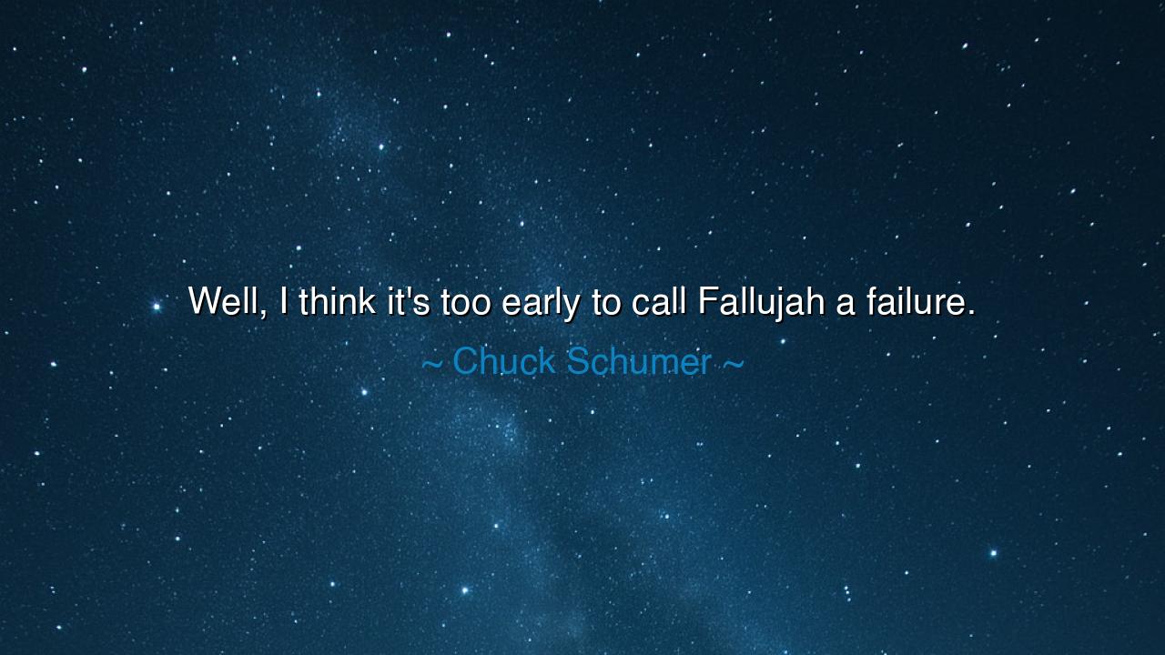 Well, I think it's too early to call Fallujah a failure.