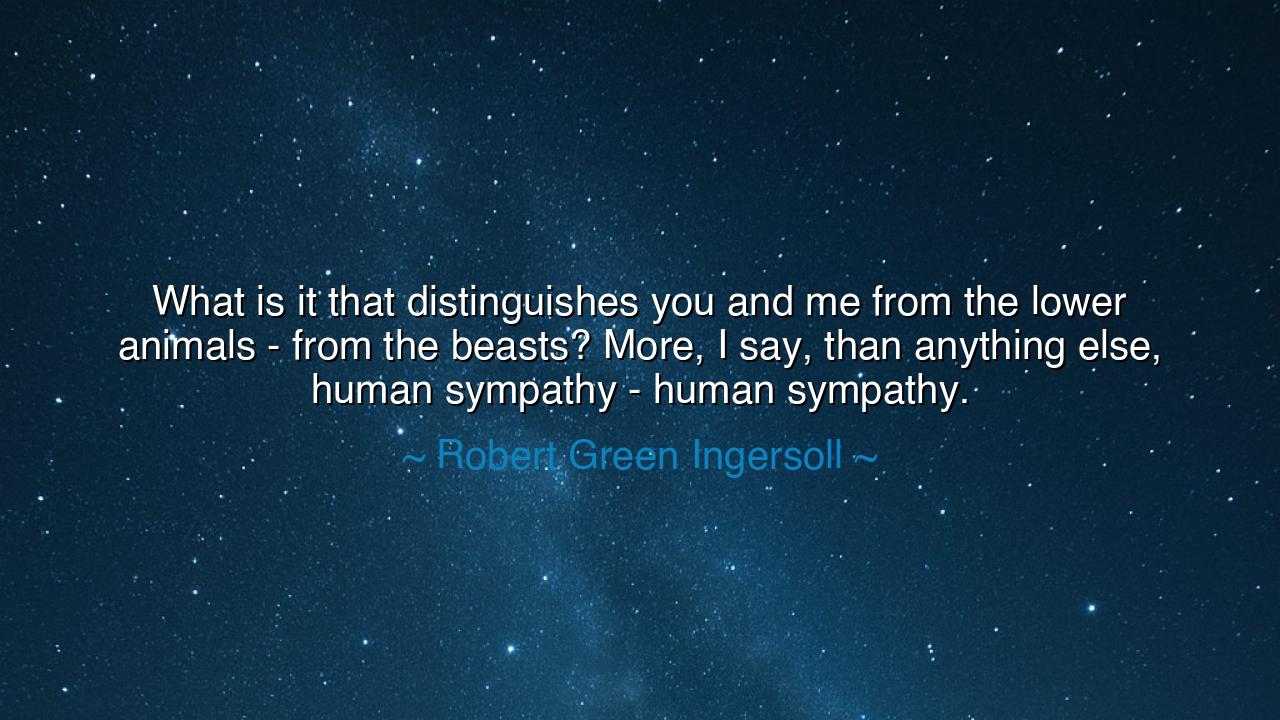 What is it that distinguishes you and me from the lower animals