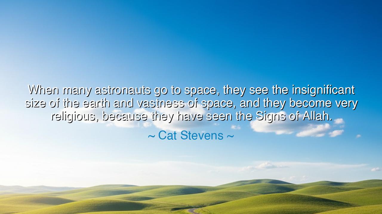 When many astronauts go to space, they see the insignificant size