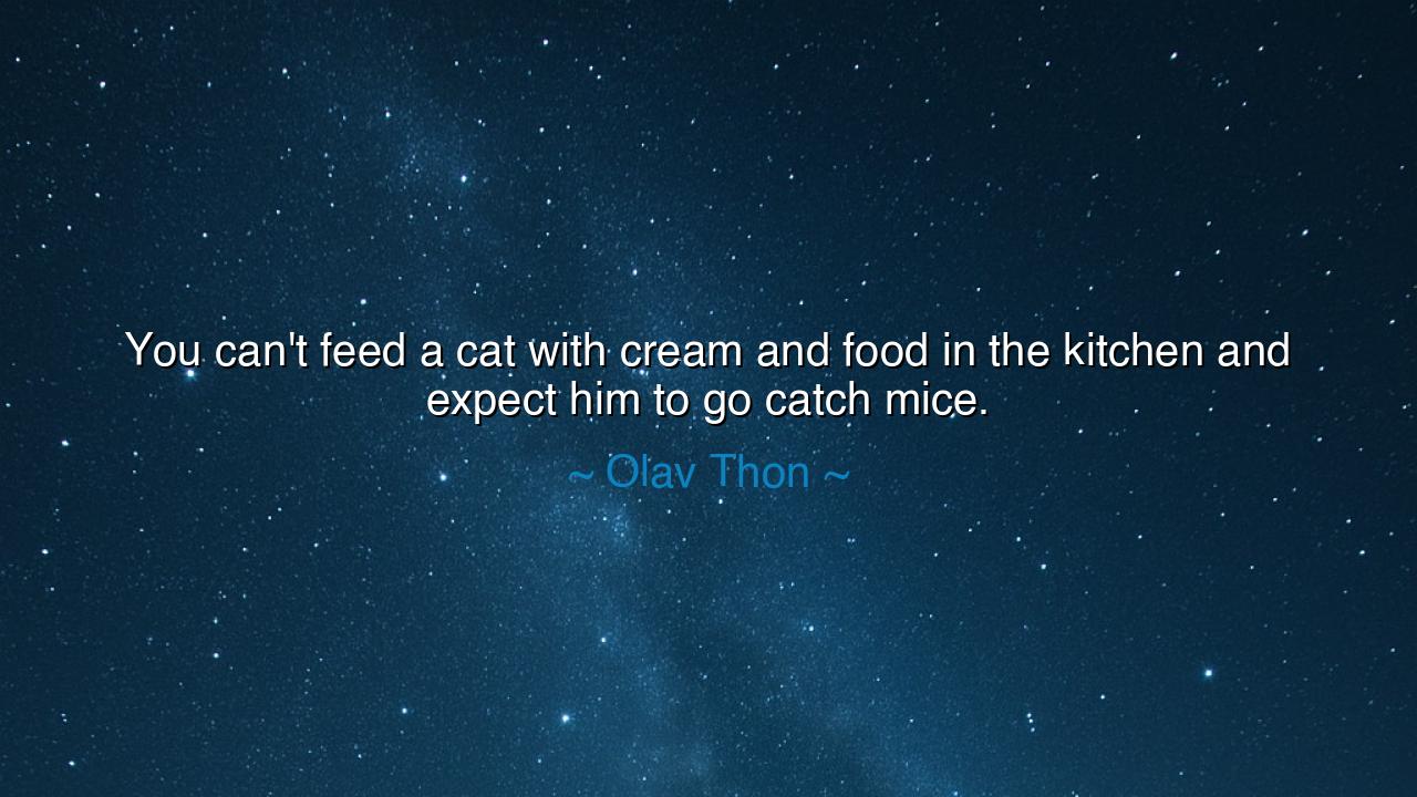 You can't feed a cat with cream and food in the kitchen and
