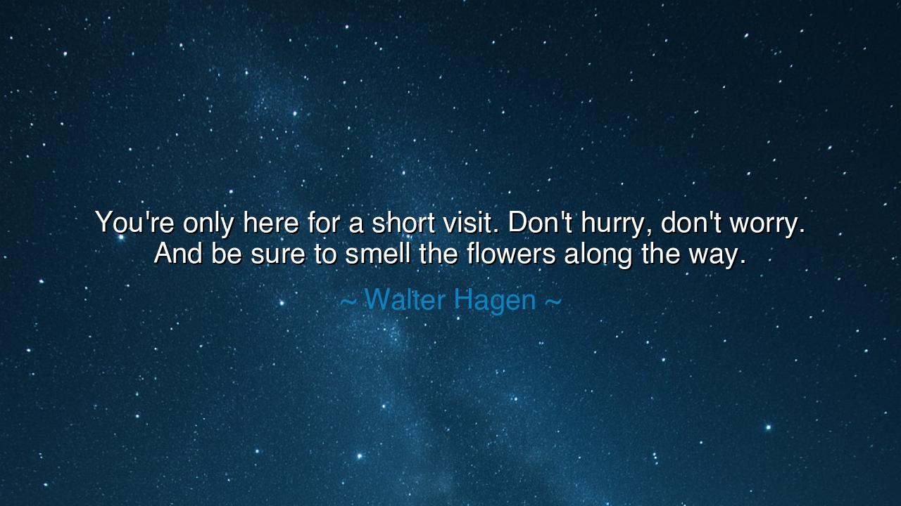 You're only here for a short visit. Don't hurry, don't worry. And